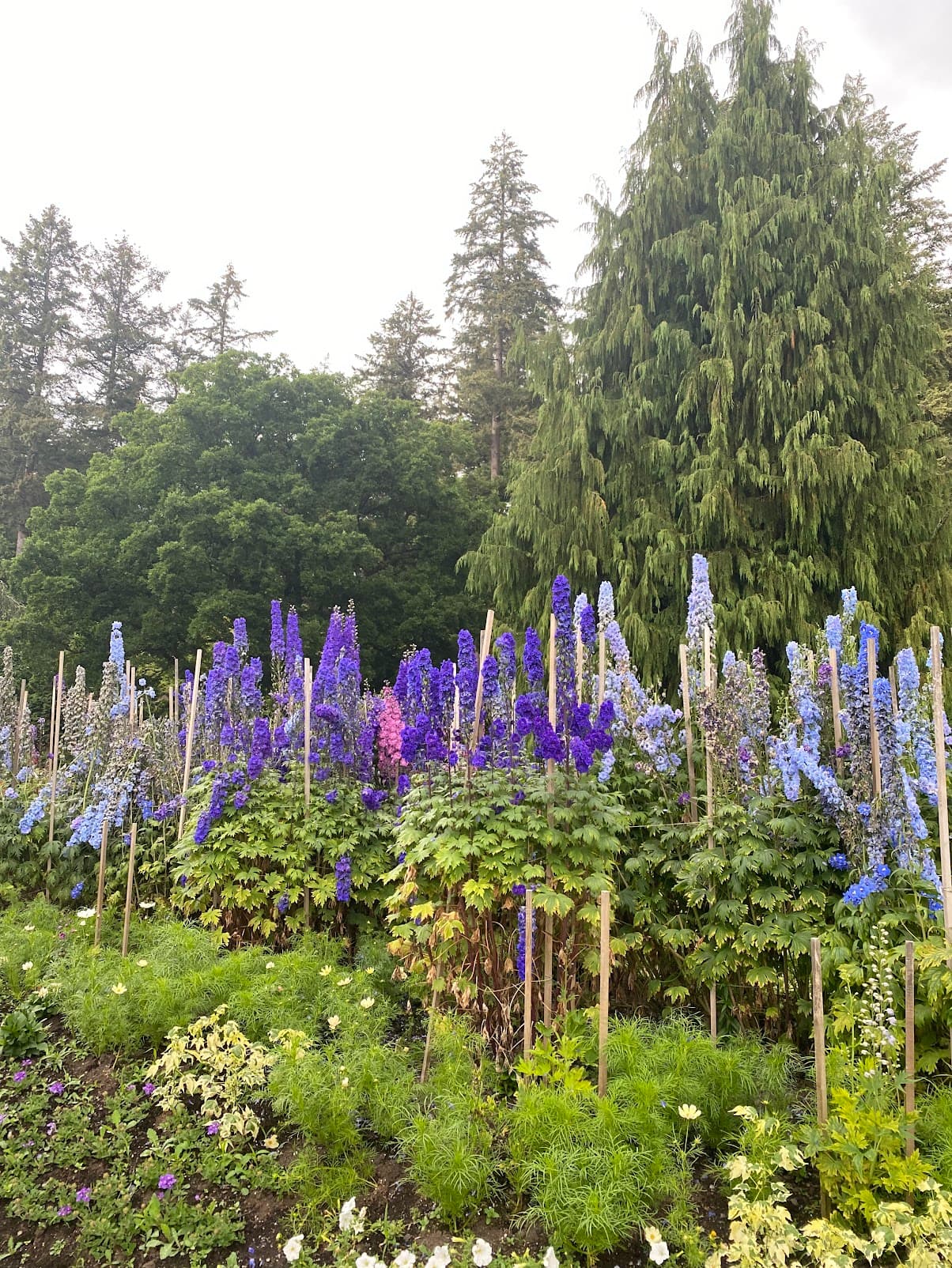 Vancouver, Canada